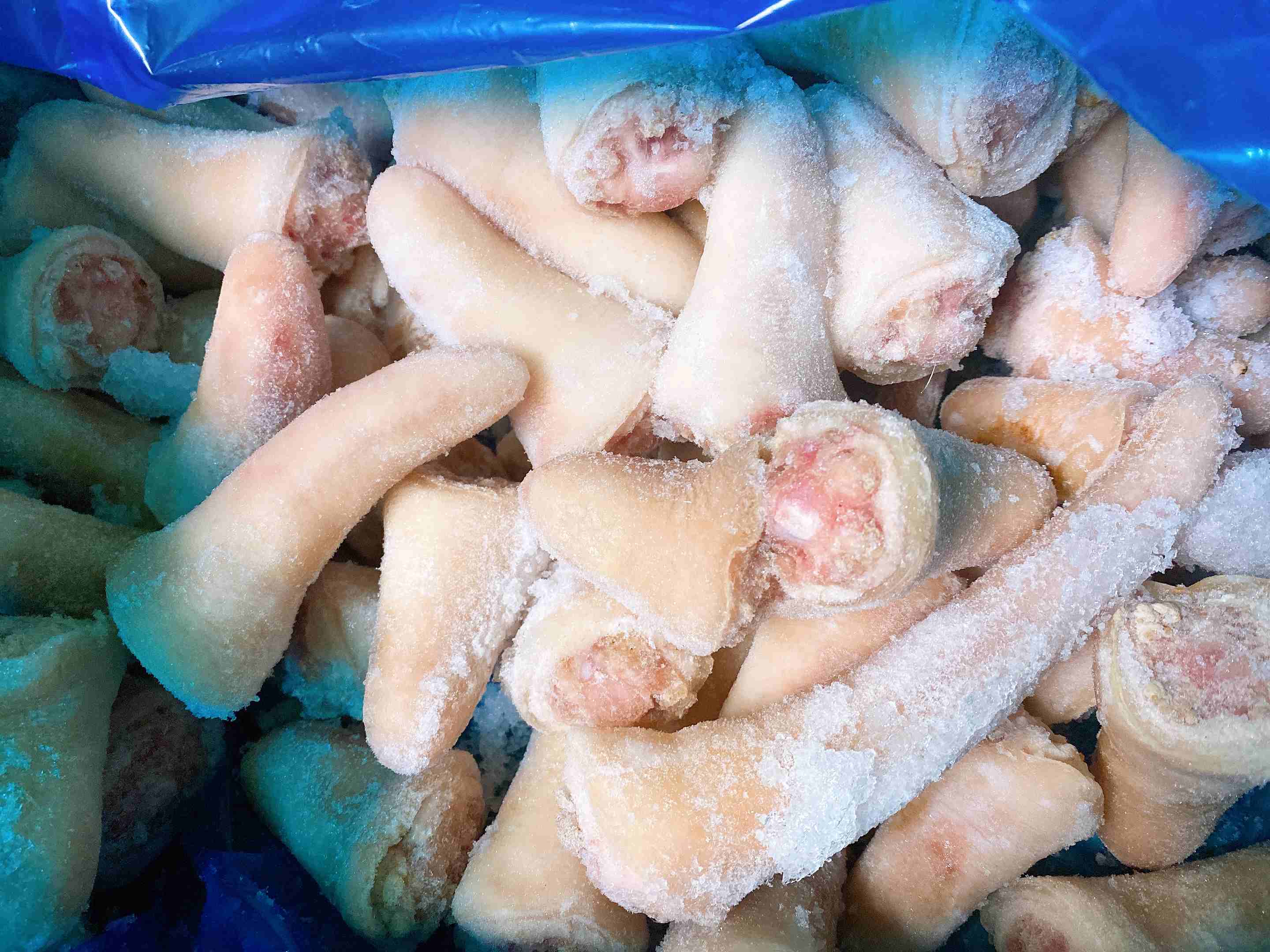 Mua đuôi heo đông lạnh ở đâu uy tín?